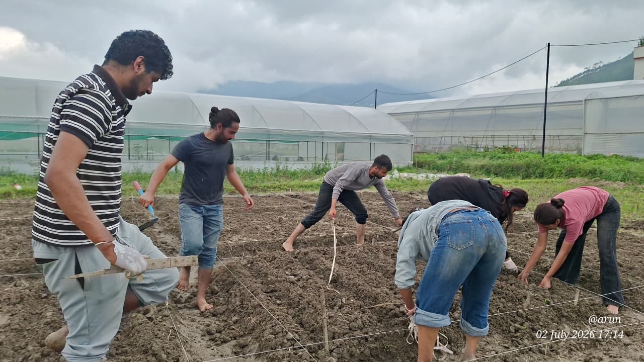 Seed Treatment with Biofertilizers: A Climate-Smart Approach for Resilient Agriculture